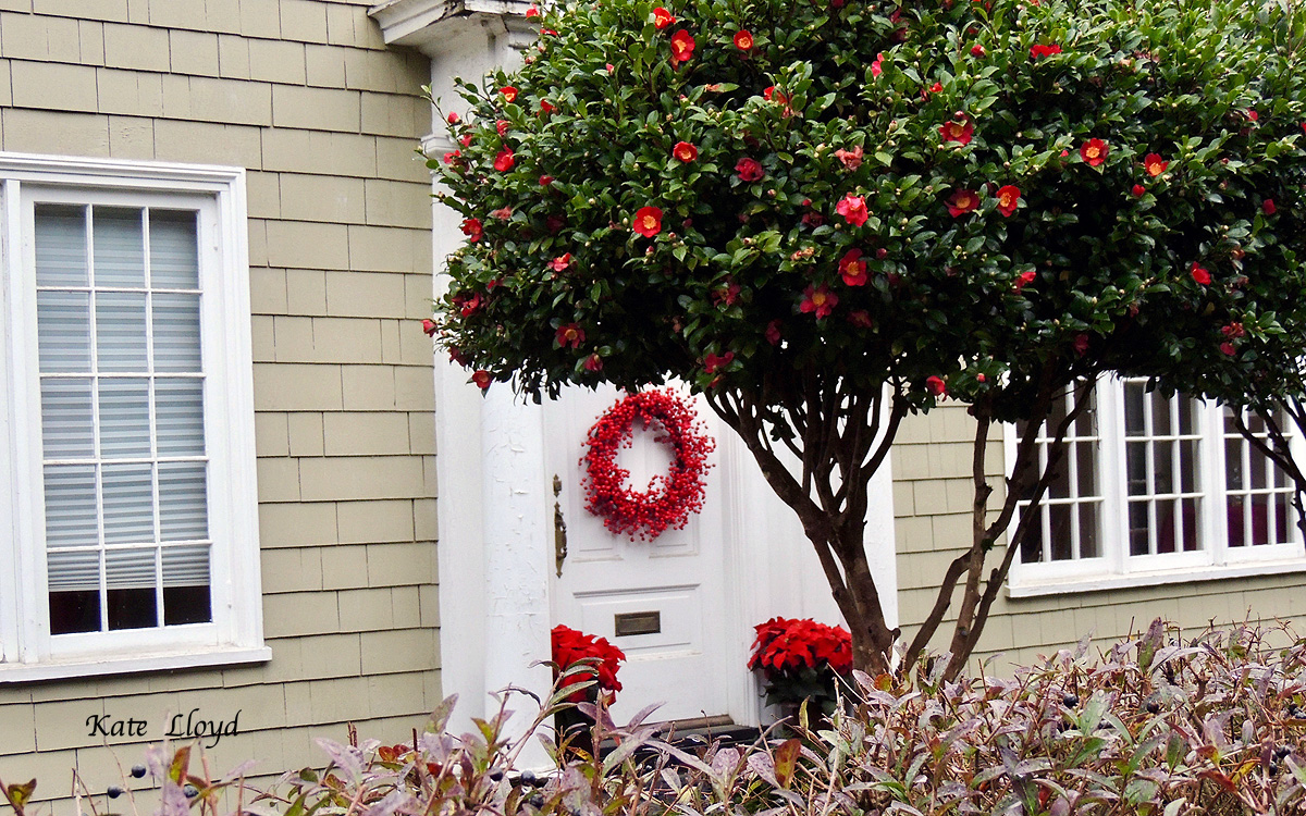 A few houses showed a festive hints of Christmas.